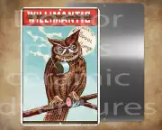 WILLIMANTIC SPOOL THREAD ADVERTISING 8x12" metal sign