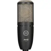 AKG P220 High-Performance Large Diaphragm True Condenser Microphone