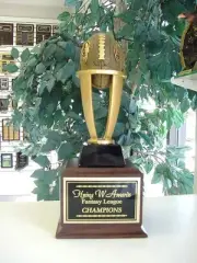 FANTASY FOOTBALL PERPETUAL TROPHY 16 YEARS FFL NEW DESIGN AWESOME MEDIUM P*TRB24