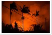 Volcanic Gas Destroys Vegetation 2018 Hawaii Kīlauea Volcano Silver Halide Photo