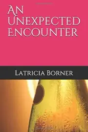 AN UNEXPECTED ENCOUNTER (THE ENCOUNTER SERIES) By Latricia Borner **BRAND NEW**