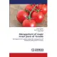 Management of major insect pests of Tomato
