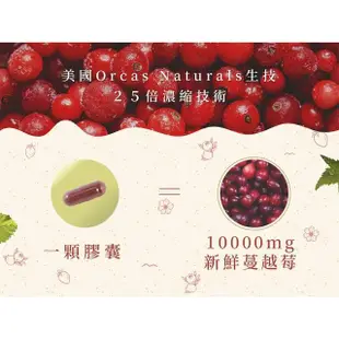 【Candice康迪斯】天然蔓越莓+益生菌膠囊 兩瓶組(60顆/瓶)