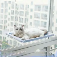 在飛比找蝦皮購物優惠-Comfortable Pet Cat Hammock So