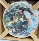 Vtg Dorothy Meets The Scarecrow The Hamilton Collection The Wizard Of Oz Plate