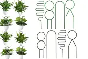 8Pcs Indoor Plant Trellis for Potted Plants Climbing Mini House Plant Support Stake-Black and Green