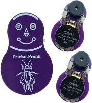 Cricket Noise Maker Prank (3 PCS), Beeping Several Months, Hidden Prank...