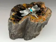 939 gr. Petrified Wood Navajo Sterling Silver Dragonfly Paperweight -Stunning!