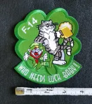 NAVY F-14 Tomcat "Who Needs Luck Baby" FIGHTER PILOT MILITARY Patch