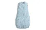 Ergopouch Toddler Jersey Sleep Suit Bag Tog 0.2 Dragonflies