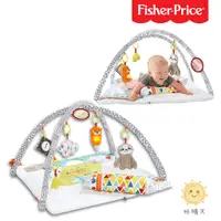 在飛比找蝦皮商城精選優惠-原廠現貨 Fisher-Price 費雪 感官訓練可愛動物健