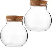 HIAKDOFT 2Pcs Spherical Glass Terrarium Bottle with Cork Stopper Elegant Micro Landscape Craft for Home Decor for Plants Bedroom Study