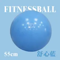 在飛比找誠品線上優惠-【Fun Sport】歐力斯體適能健身球(55cm)-舒心藍