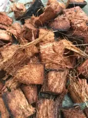 Coconut Husk Chips | Growing Media for Orchids & Anthurium 100% Natural Organic