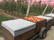 Pallet Fruit-Bin Covers; 90% Grey Shade-cloth, Fabricated; Bale of 25