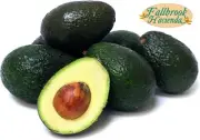 Organic Avocados - Large Hass - No Pesticides or Herbicides - Large Box