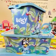 Bluey storage boxes set of 2