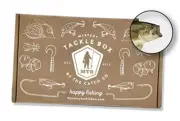 Mystery Tackle Box Freshwater Largemouth and Smallmouth Bass Lures Fishing Kit