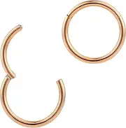 [Pierced Koala] 2PCS Titanium Nose Rings 20G 18G 16G 14G 12G 10G 8G 6G Septum jewellery Hinged Segment Ring Body Piercing Nose Hoop Lip Clicker Tragus Daith Eyebrow Ring Helix Cartilage Rook Earrings