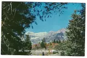 Mt Timpanogos from Aspen Grove, Alpine Loop, Utah, c1950's Unused Postcard,