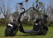 3Plus 3000w/60v Fat Tire Lithium Two Seater City Coco Electric Scooter