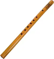 SECFOU Traditional Chinese Flute Instrument for Beginners Easy to Learn Recorder for Music Classes and Performances Compact and Lightweight Design for All Ages