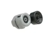 63BP38Y Alternator Accessory Belt Tensioner Assembly Fits 2000-2002 Jaguar XKR (for: Jaguar)