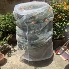 Flowers Pest Control Net Bug Net Barrier Bag with Drawstring for Fruit Vegetable