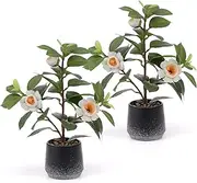 Gresorth 2 Pack Artificial Potted Plants with Flowers Fake Greenery Bonsai Decoration Realistic Landscape Display for Home Office Shop Livingroom - 12.6 Inch