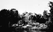 1935 The fernery in the Creswick Botanical Gardens Australia OLD PHOTO