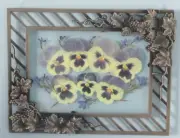 Dried Pressed Pansies in Ornate Vintage Silver Floating Frame: 9.0" x 7.0"
