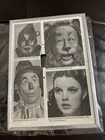 New Wizard Of Oz,tinman,cowardly lion,scarecrow & dorothy light switch cover