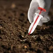 Garden Seed Sower Plastic Garden Seed Planter Red Practical Manual Seeding Tools