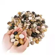 Natural River Rocks 1-2 Inch Ornamental Polished Pebbles Pebbles for Indoor Plan