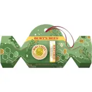 Burt's Bees Gift Set Shortbread Cookie Lip Balm and Lemon Butter Cuticle Cream 2
