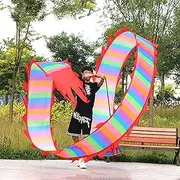 Dragon Dance Silk Rainbow Dragon Silk-Like Flowy Shaking & Flinging Poi Chinese Flinging Gymnastics Wu Long 3D Dragon Ribbon Streamer for Outdoor Fitness Sports (Size : 10 m/33 FT)