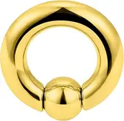 [Yaalozei] 00G Gold Spetum Rings Ear Gauges Earrings Plugs Tunnels Streching Piercing Kit Surgical Stainless Steel Captive Bead Prince Albert Nose PA Cartilage Earring Rings Piercing Jewelry Women Men