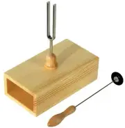 Wittner Tuning Fork with Resonance Case No.924442RA Tuning Fork with Resonance C