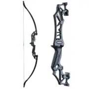 20-50lbs Recurve Bow Longbow Professional Bow Archery Suit Arrows Accessories