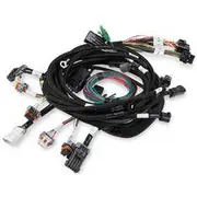 Holley Ford Modular Main EFI Harness - Ford Modular HP Dominator EFI, HO558-108