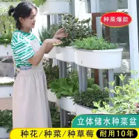 在飛比找蝦皮商城精選優惠-【種菜推薦】田園陽台種菜專用盆多層種菜盆樓頂家庭立體種菜神器