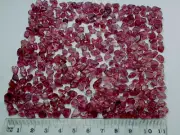 396 Carat Natural Rodolite Garnet Facet Transparent Rough From Tanzania Africa