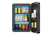 Advwin Mini Fridge 22L Car Refrigerator (Black)