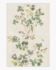 200' x 290' | Machine Washable Runner Rug | Kid & Pet Friendly | Indoor Rug | Sanderson Woodland Chorus Fawn Rug | Ruggable