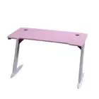 140cm RGB Gaming Desk Desktop PC Computer Desks Desktop Racing Table Office Lapt