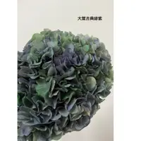 在飛比找蝦皮購物優惠-“Be a florist 花藝夢” 進口 大葉繡球 永生繡