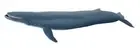 Papo 56037 Blue Whale Sealife Model Toy - NIP