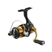 Daiwa DAIWA spinning reel 23 Rega squirrel LT1000S 313
