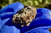Meteorite: Erg Chech 002: Weigh 0.854 Grams