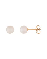 Splendid Pearls 14K 5-6mm Akoya Pearl Studs